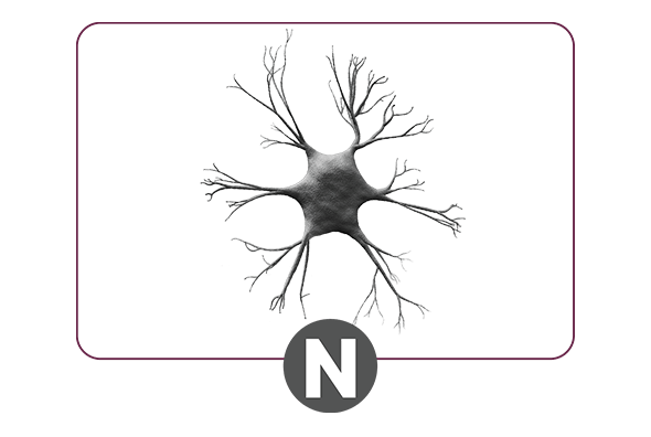 Neurodegeneration